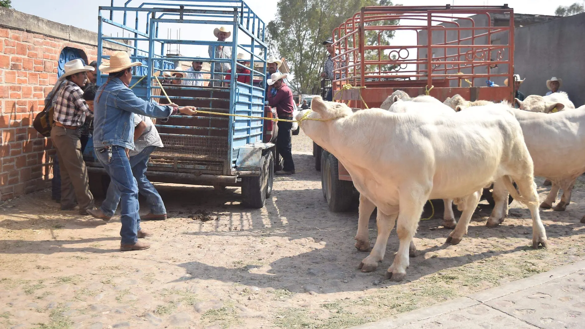 Productores agropecuarios de todo el estado tendrán acceso a centros de capacitación. Foto Jacob Cabello